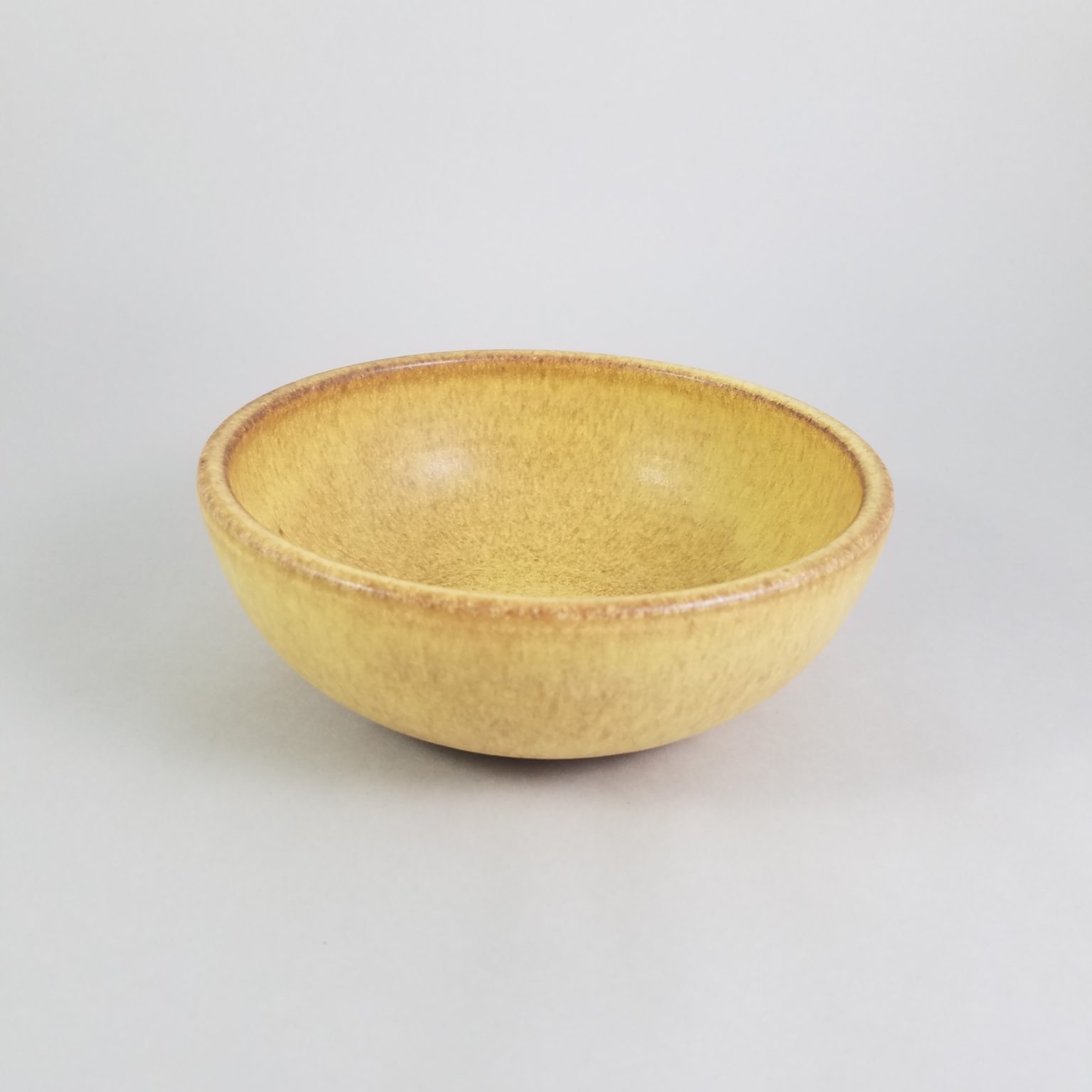 Clay Coyote Soup Bowl for eating breakfast, lunch, dinner & dessert!